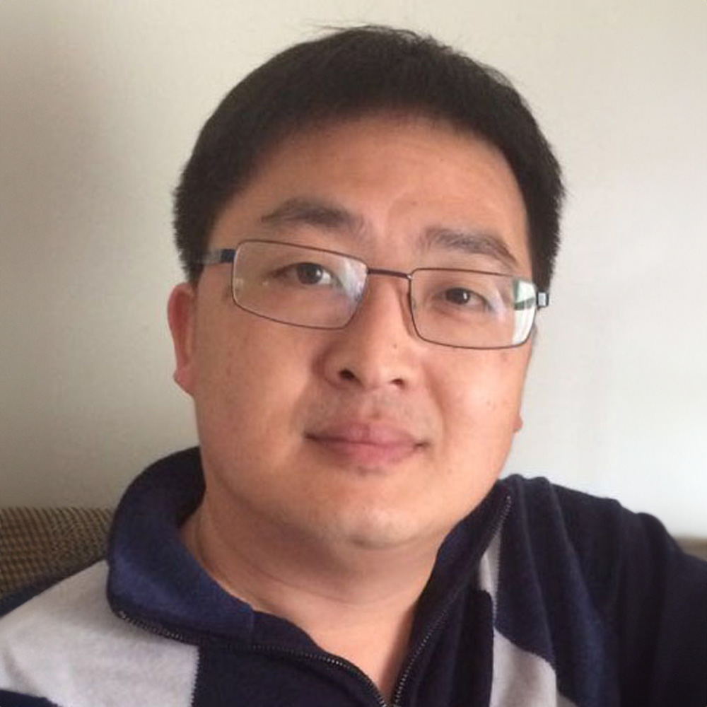 Professor Hongwei Wu