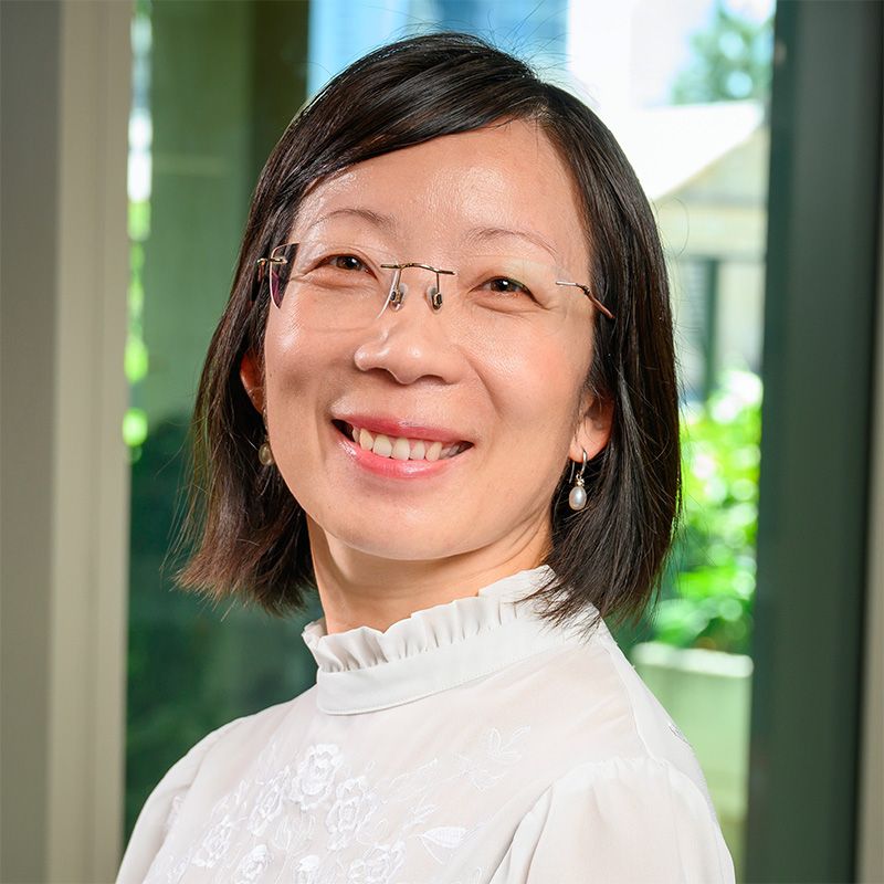 Professor Hongxia Wang
