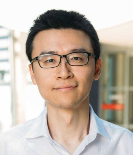 Professor Porun Liu
